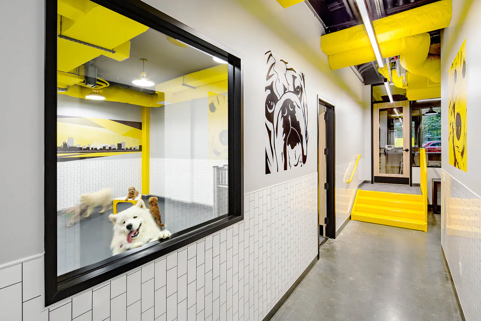 District Dogs Shaw 3