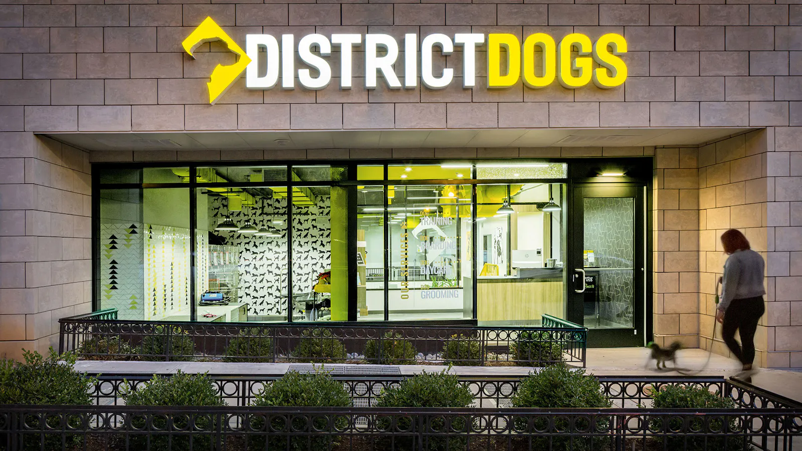 District Dogs Shaw 1