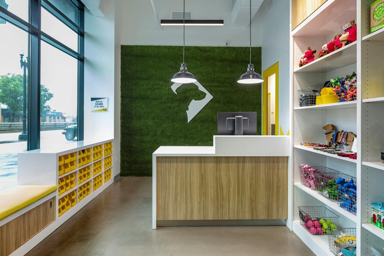 District Dogs Navy Yard 1