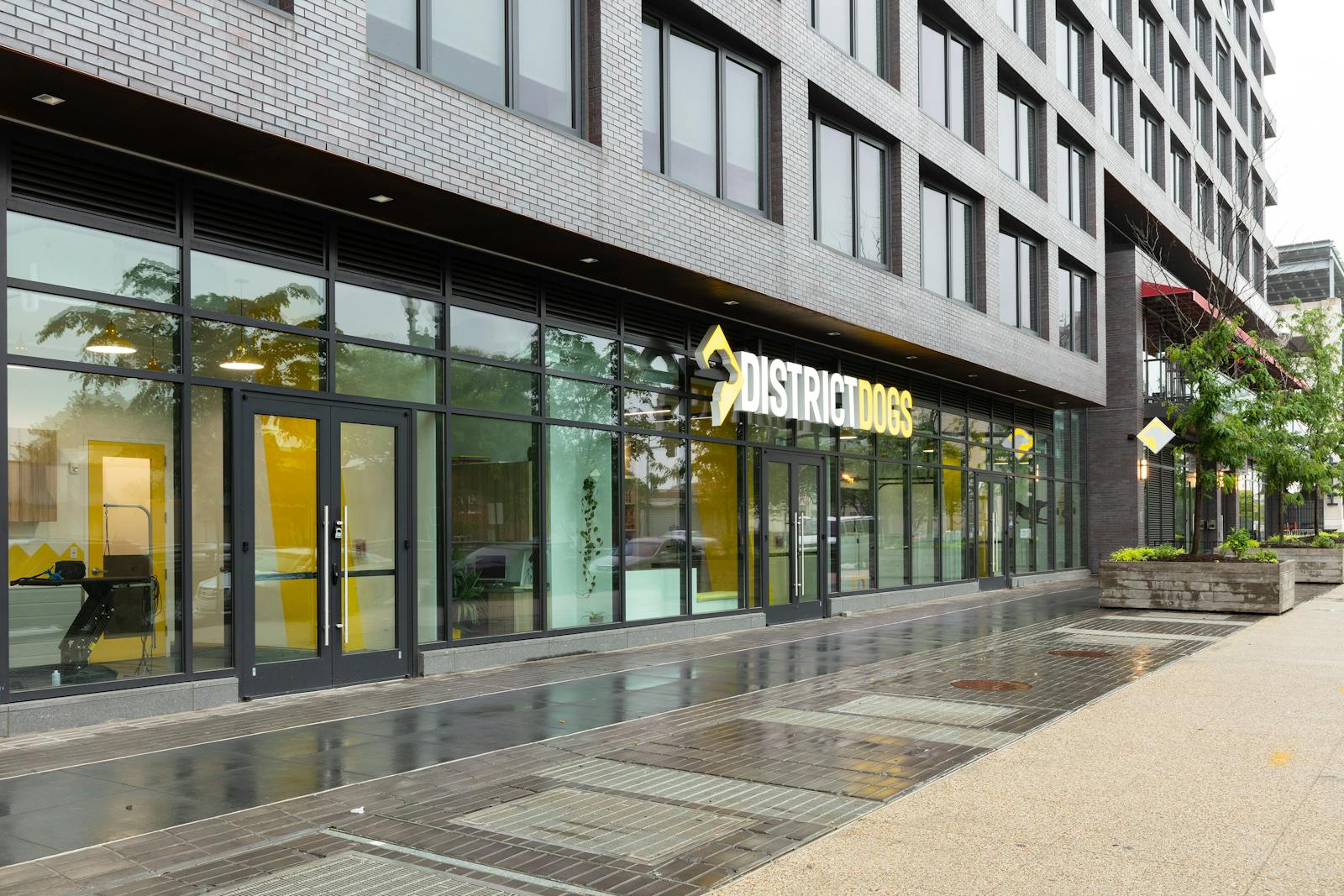 District Dogs Navy Yard 6