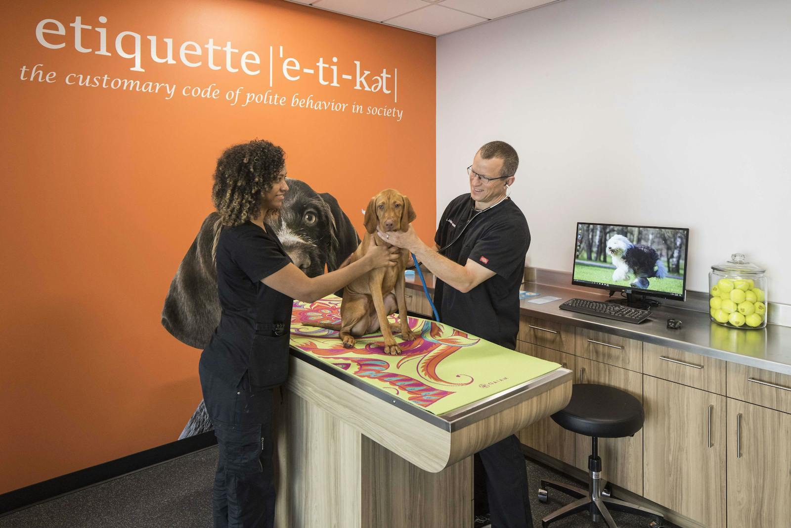 Dr. Boyd’s Veterinary Resort 2