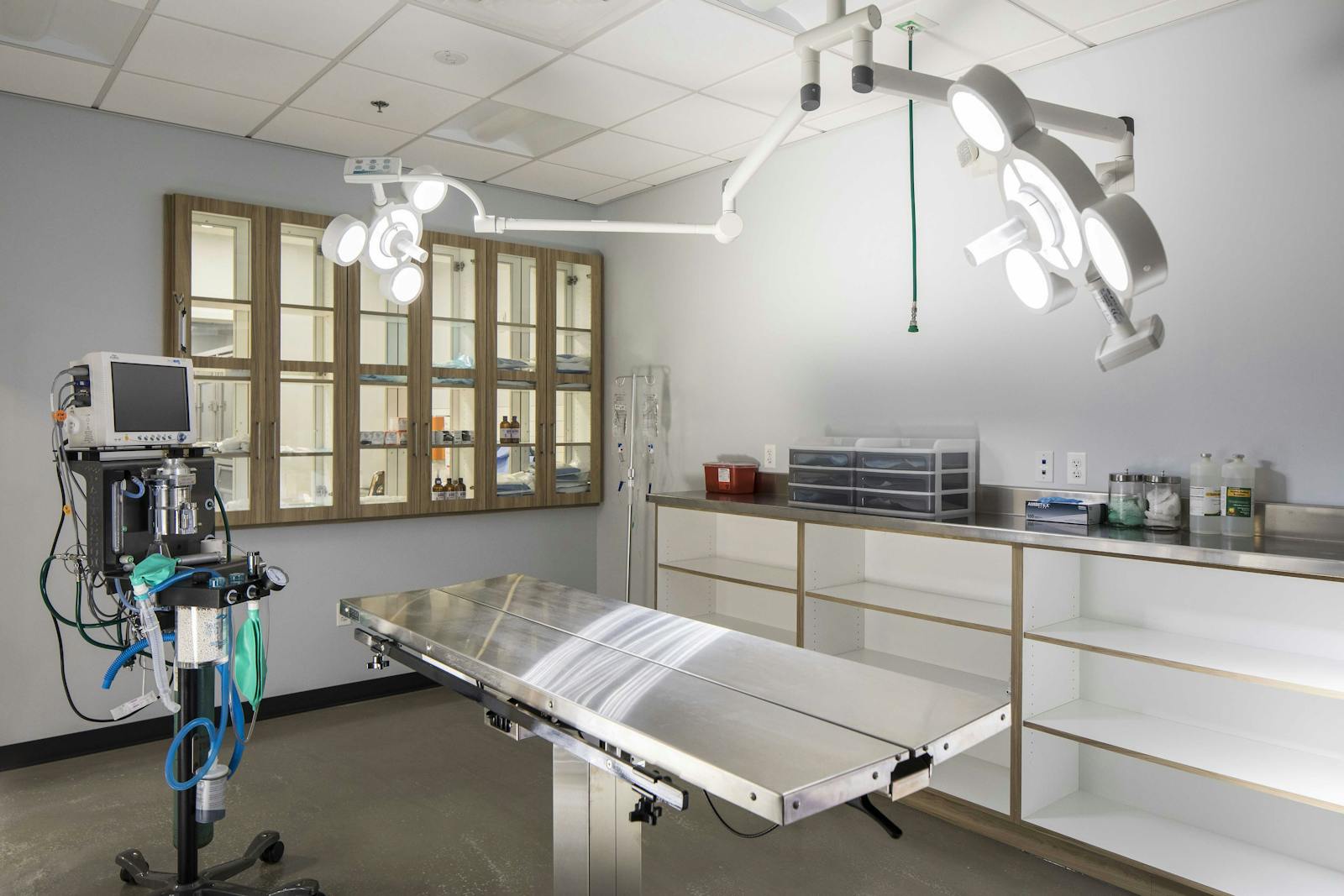 Dr. Boyd’s Veterinary Resort 3