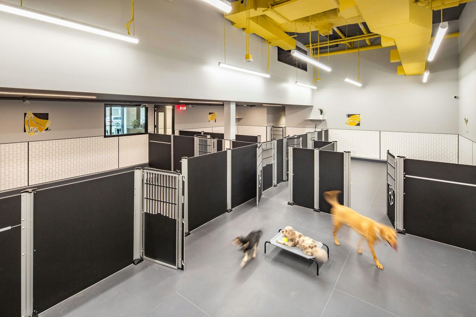 District Dogs National Landing 3