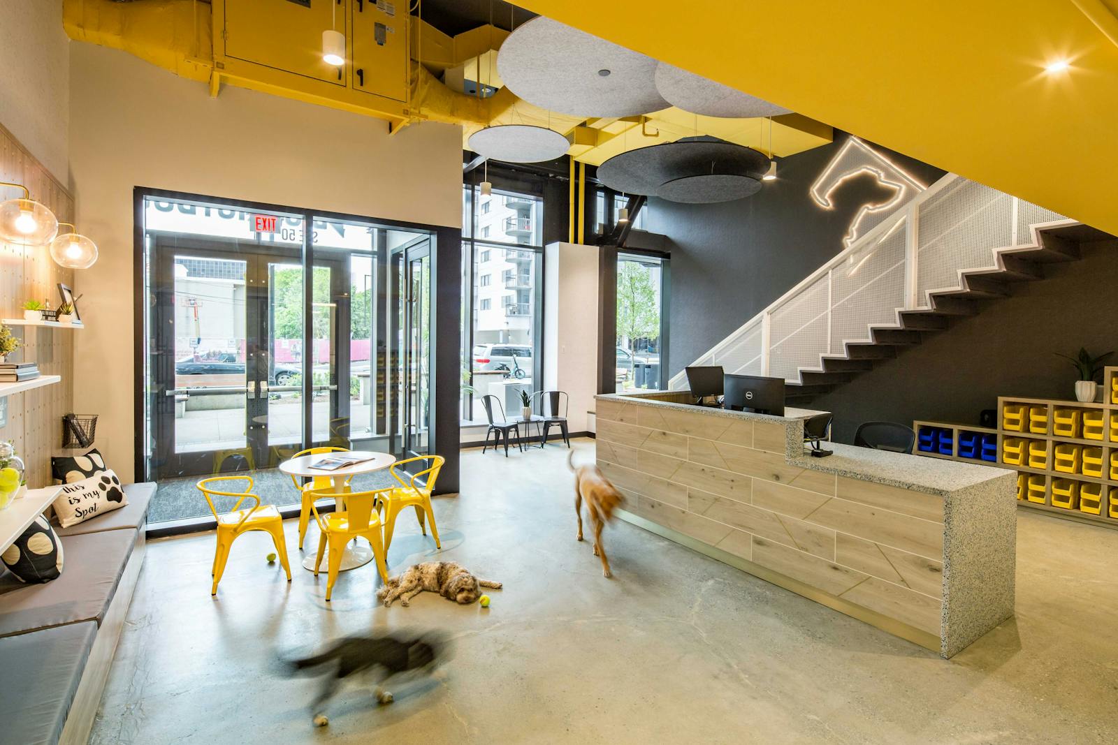 District Dogs National Landing 5