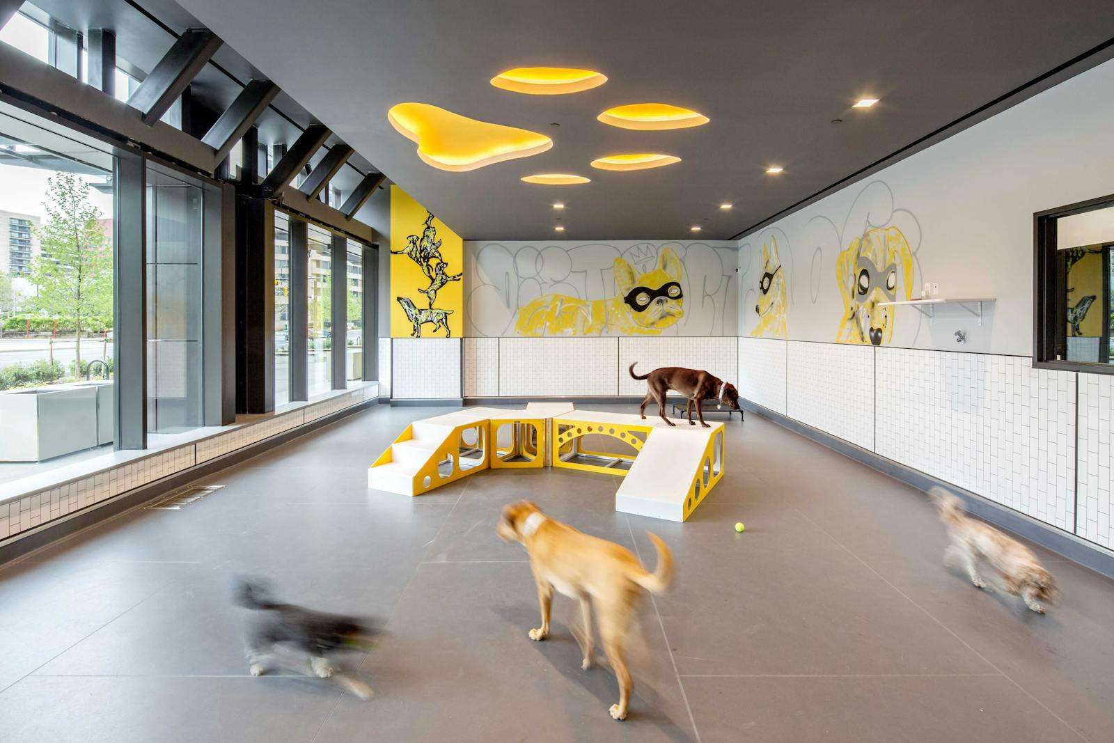 District Dogs National Landing 6