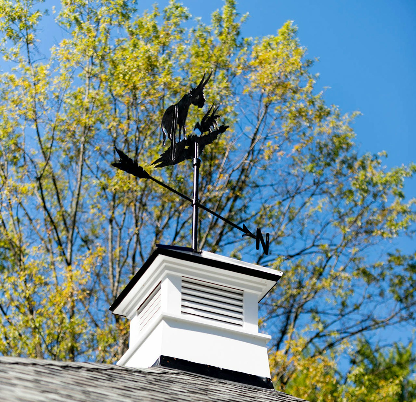 Traditional Style with Transitional Features 2