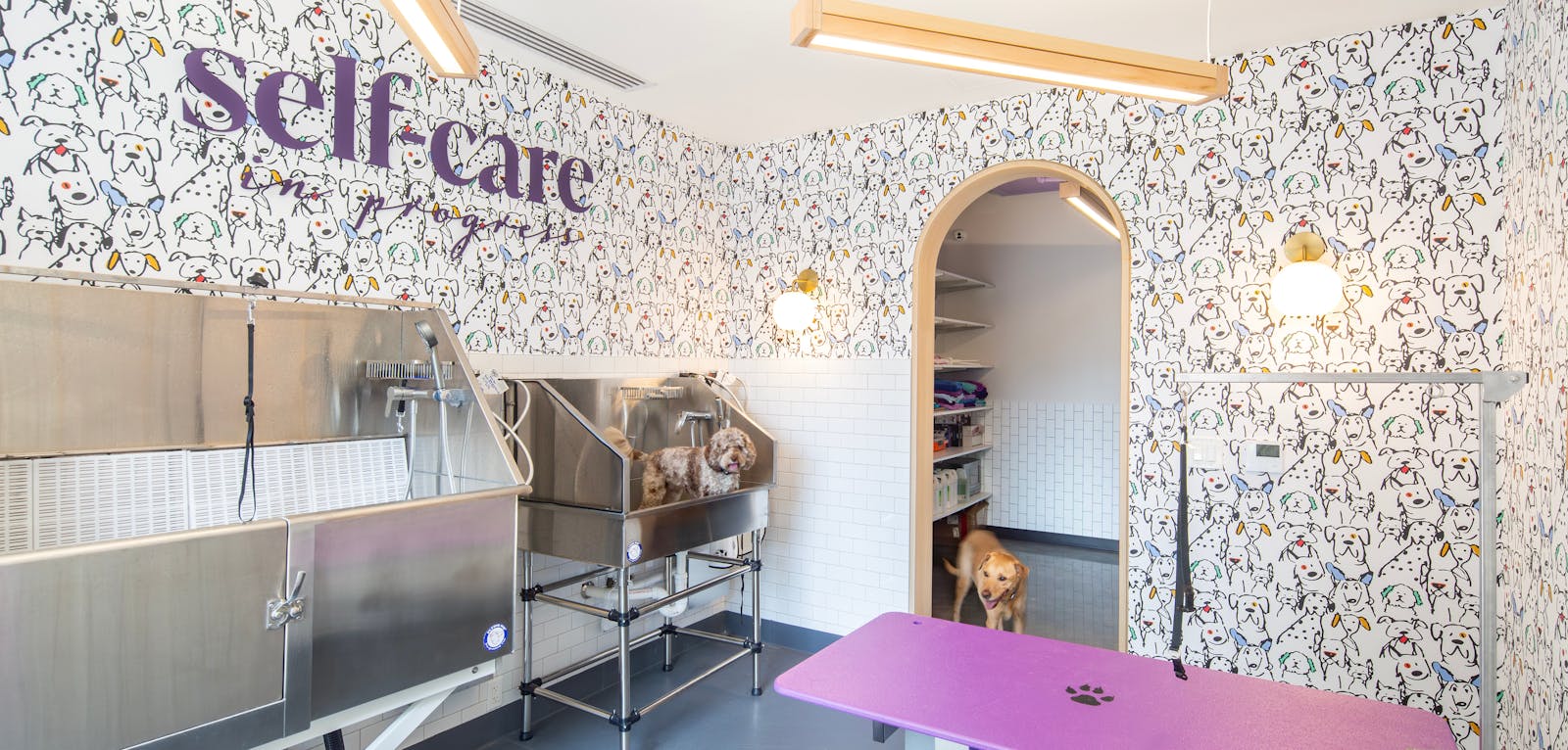Molly's Dog Care 3
