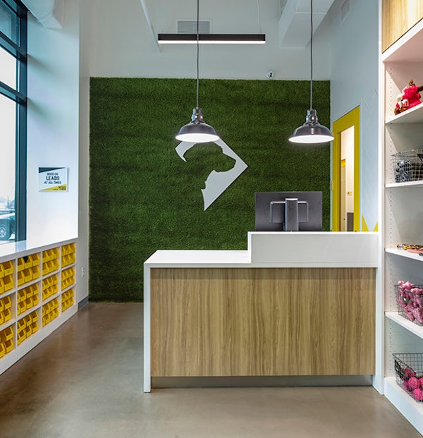 District Dogs Navy Yard